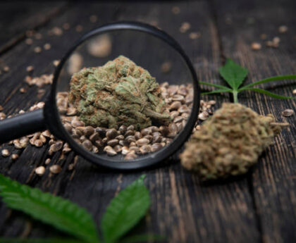 Cannabis Legalization