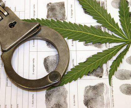 Illegal Cannabis